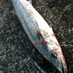 マッチザベイト