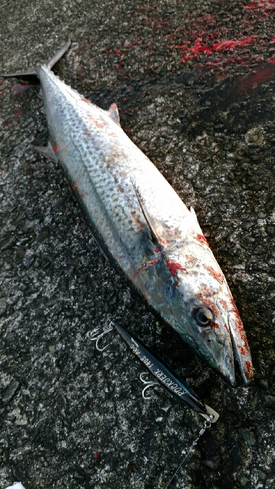 マッチザベイト