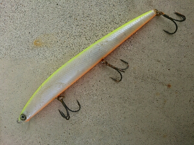 全てダイワショアラインシャイナーでの釣果