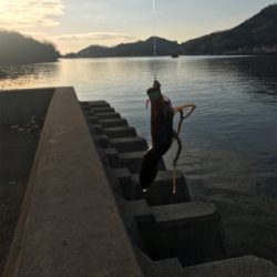 ファーストフィッシュ!