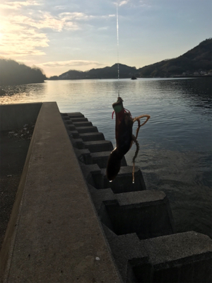 ファーストフィッシュ!