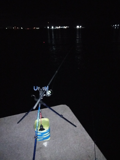 新年、太刀魚は何処？