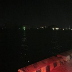 短時間 タコ狙い