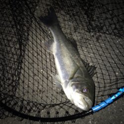 2日目（その2）プチ爆