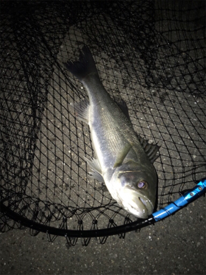 2日目（その2）プチ爆