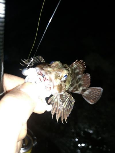 ライトゲームランガン