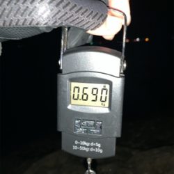 初釣り。初ヤエン。