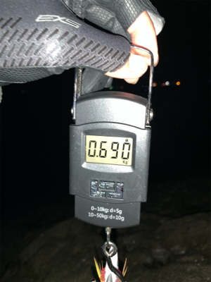 初釣り。初ヤエン。