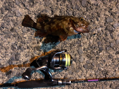 爆風ロックフィッシング