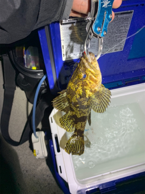 遠征帰りの2時間ライトワインド