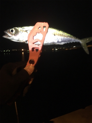 餌には勝てない？