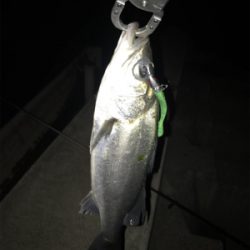 3日朝、引き続き好調のまま終了