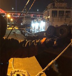 神戸でのアジング