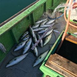 孝洋丸 落とし込み