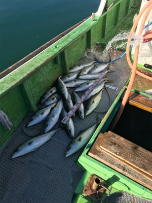 孝洋丸 落とし込み