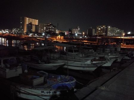 初釣り メバリング