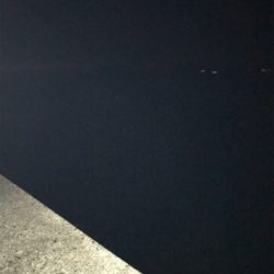 今年の初フィッシュ