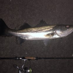 やっちまったな