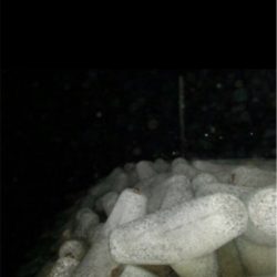 2019年初メバリング