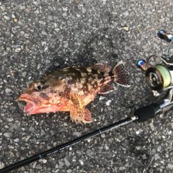 サーフアジング