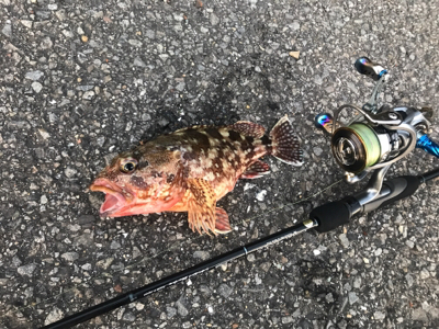 サーフアジング