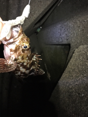 ガシリング！？