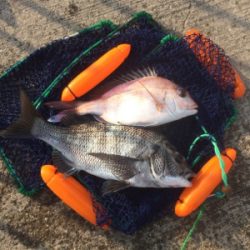 新年あけましておめでタイ!