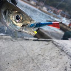 正月休みを利用して遠征