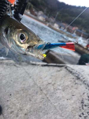 正月休みを利用して遠征