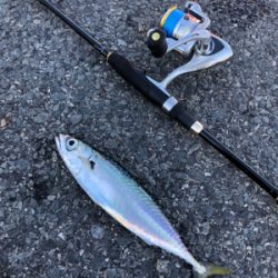 ウルトラライトショアジギング