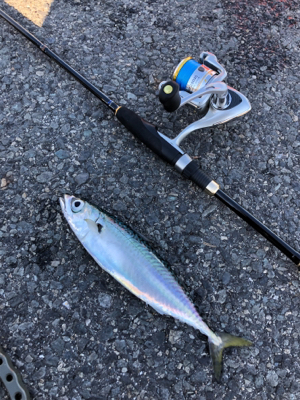 ウルトラライトショアジギング