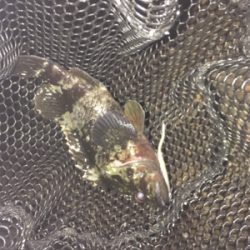 つめたい海でした