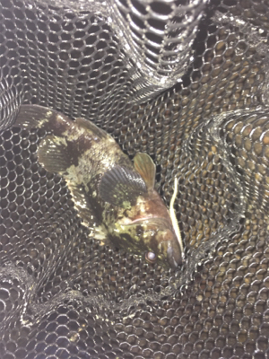 つめたい海でした