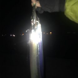 貴重な一本です!