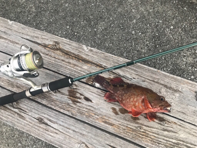 メバリング的なナニか