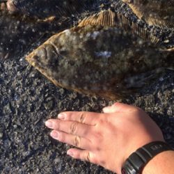 カレイ爆釣!!!!2