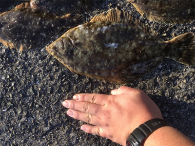 カレイ爆釣!!!!2