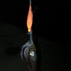 40分のプチ1091のヒイカ釣り\(^^)/