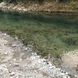 芥川管理釣り場
