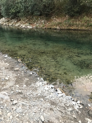 芥川管理釣り場