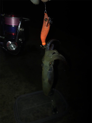 -2℃ 極寒の中でのヒイカ釣りσ(^_^;)