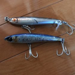 ショワジギング