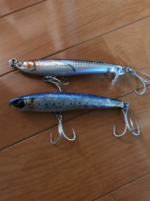 ショワジギング