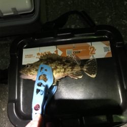 樋合新港ライトゲーム