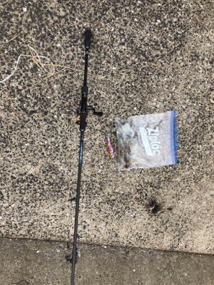 底物狙いのはずが、、、