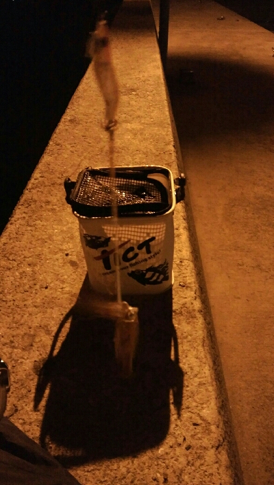 ヒイカ、まだ楽しめます!