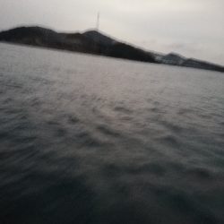 鳥羽ジギング！