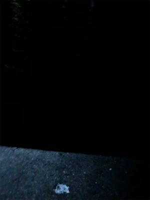 ナイトガシリング