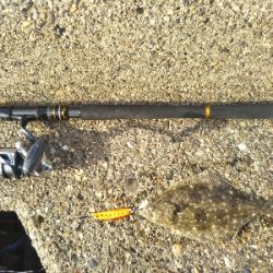 メバリング〜サーフ