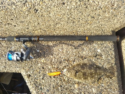 メバリング〜サーフ